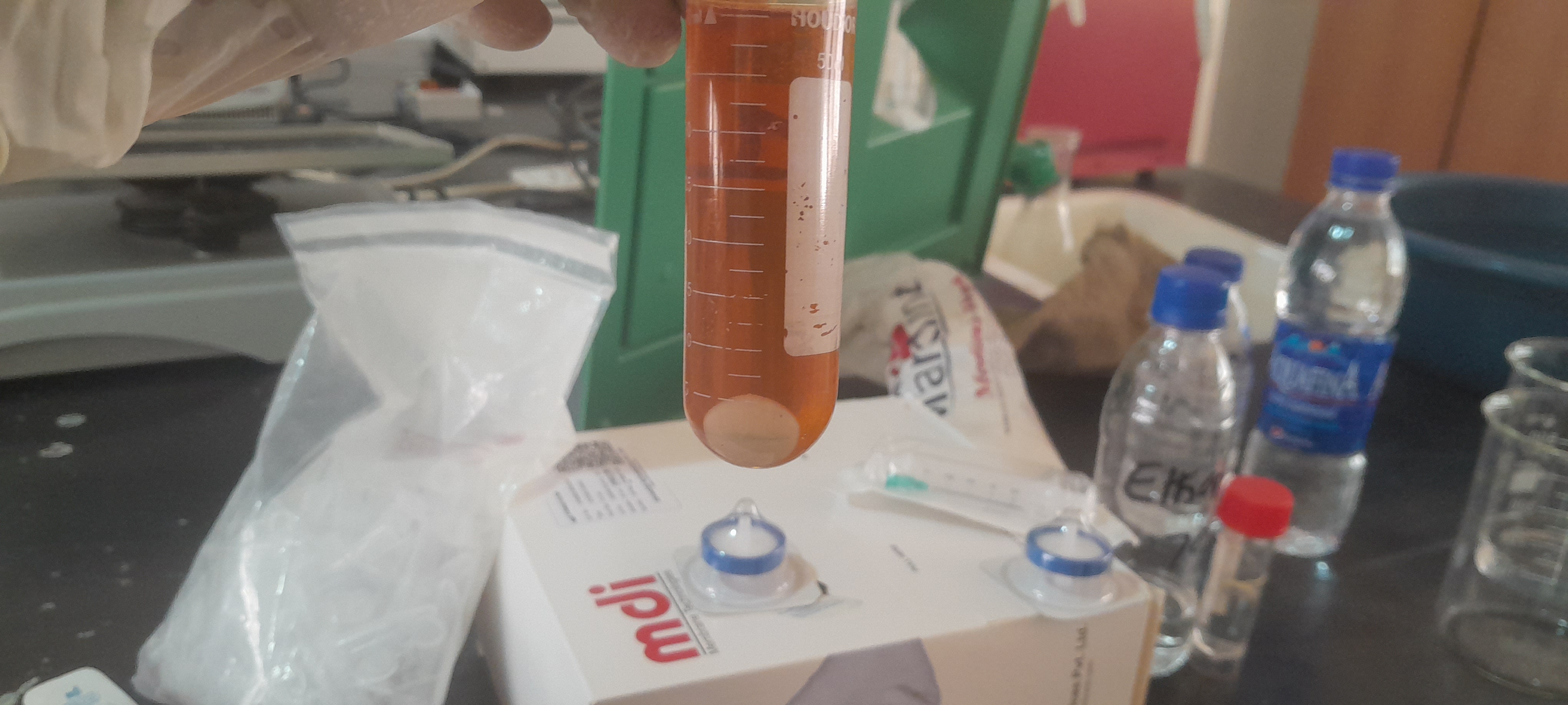 Microbial Research - Lab Sample